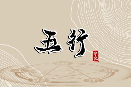 排紫微斗数命盘,查命盘紫微斗数,紫微运势曲线算命,姓名命盘,分析命盘