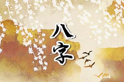 排盘报告阅读顺序